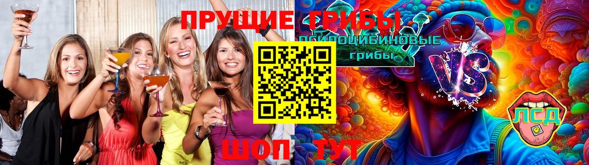 Минеральные Воды  Псилоцибиновые грибы Psilocybe  Вход с VPN 